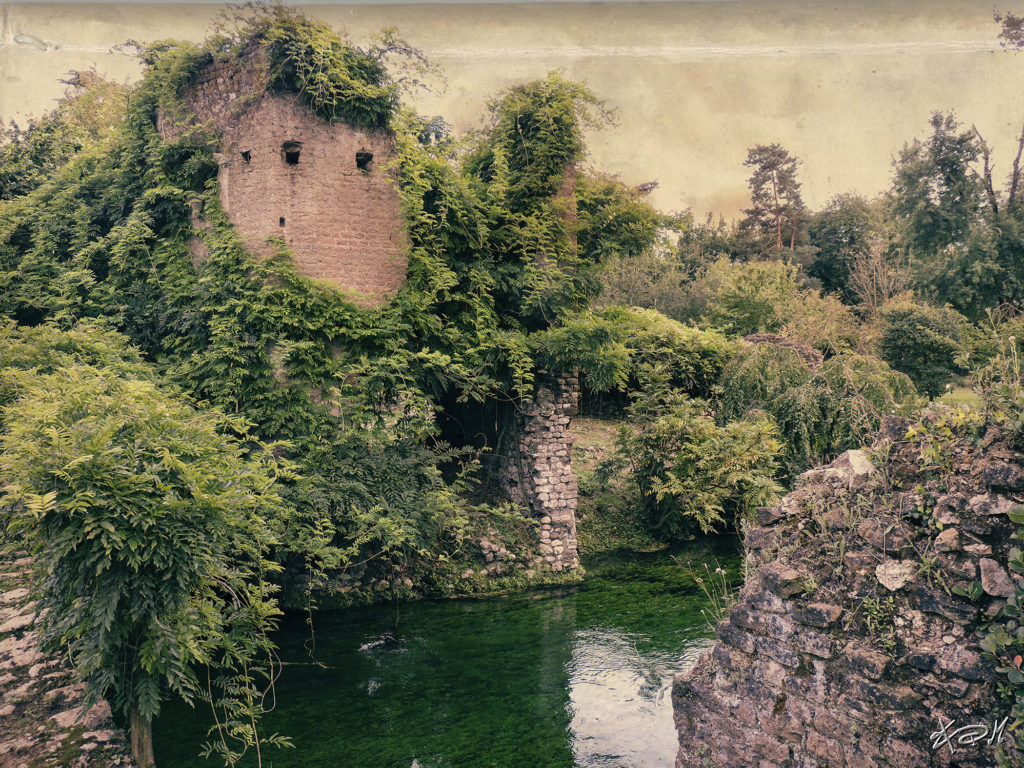 fotografia paesaggio giardino ninfa