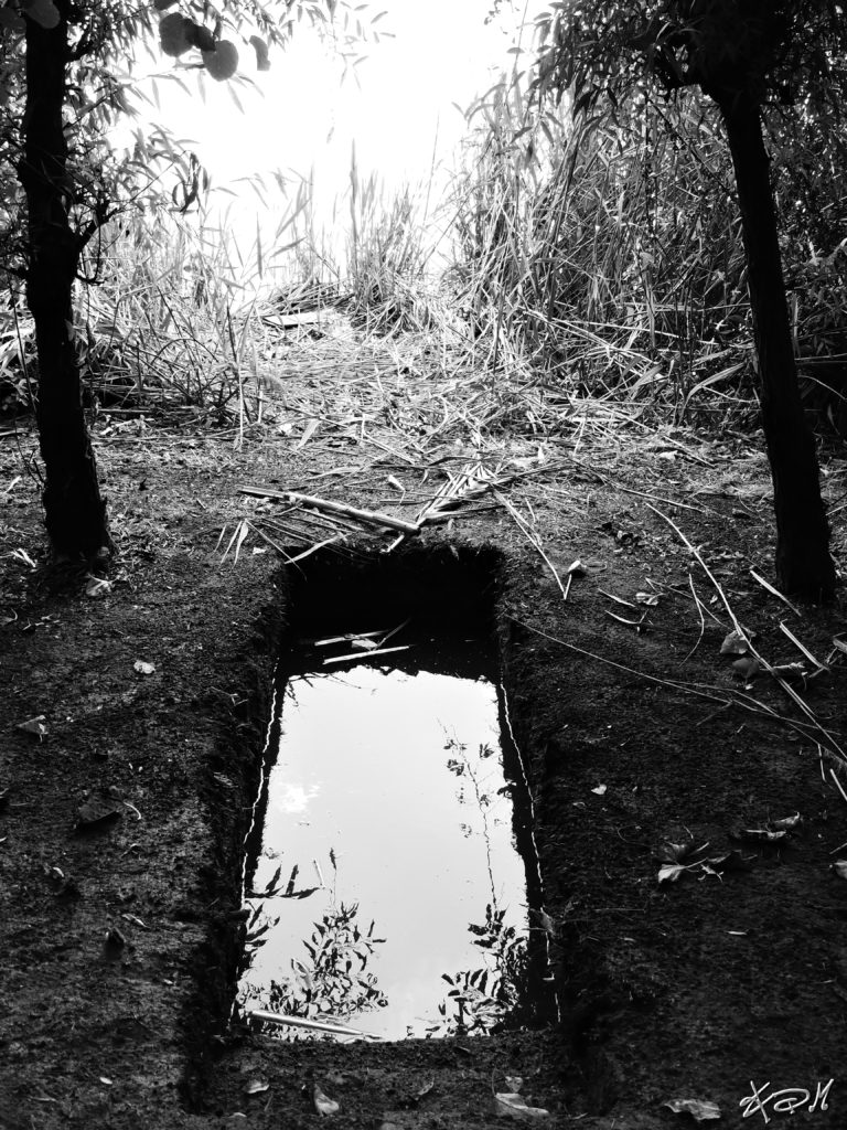 fotografia paesaggio pozzuoli