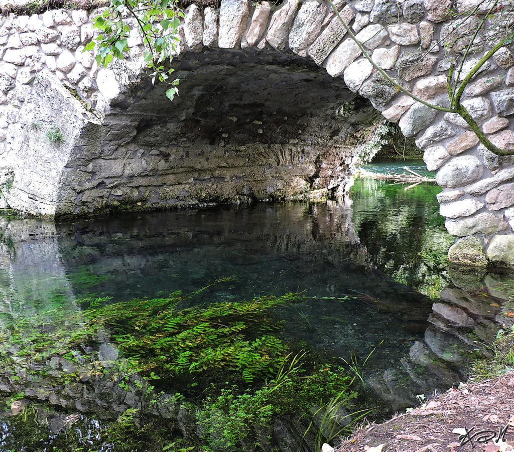 fotografia paesaggio giardino di ninfa