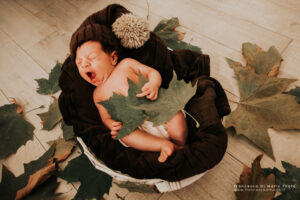 book fotografico newborn foto bimbi roma