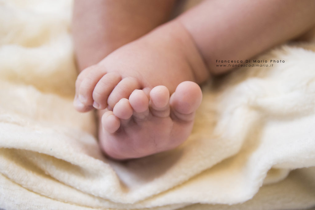 book newborn roma